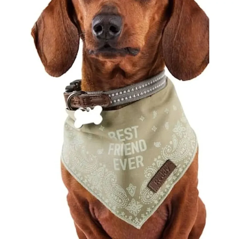 Reddy Bandana Style Pet Scarf 